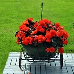 Cozy John's House Vilnius