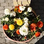 Cozy John's House Rum i privatbostad Vilnius