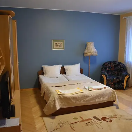 Rum i privatbostad Cozy John's House Vilnius