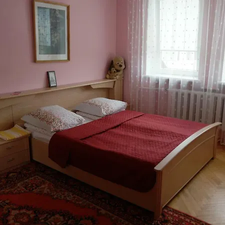 Cozy John's House Проживання в сім'ї Вільнюс
