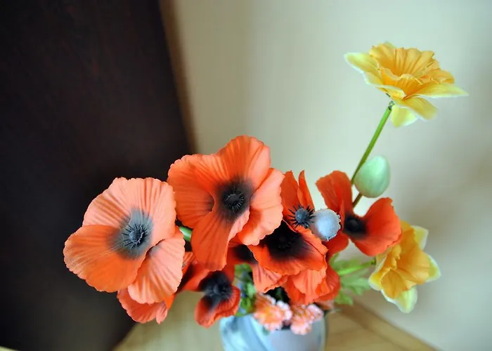 Cozy John's House * Вільнюс