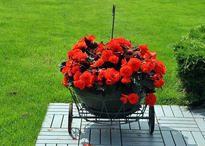 Cozy John's House Вільнюс