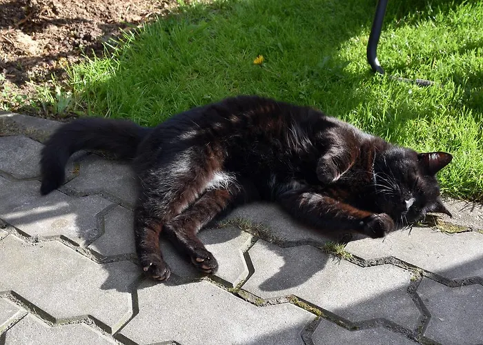 Cozy John's House Проживання в сім'ї