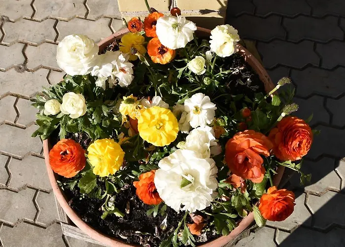 Cozy John's House Проживання в сім'ї Вільнюс