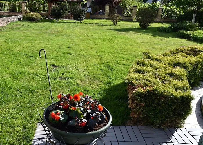 Проживання в сім'ї Cozy John's House