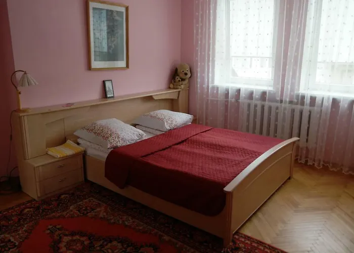 Cozy John's House Проживання в сім'ї Вільнюс