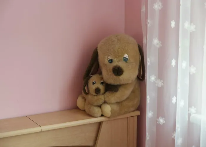 Cozy John's House Проживання в сім'ї Вільнюс