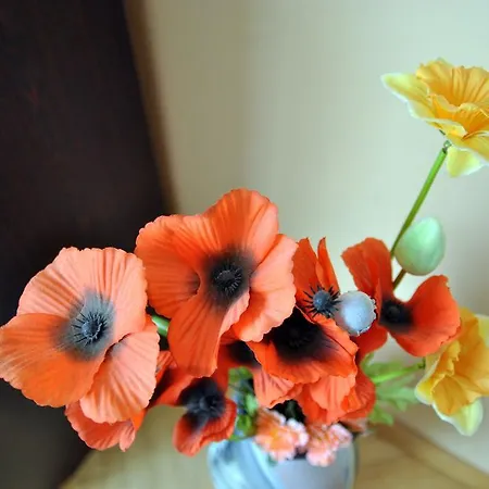 Cozy John's House * Vilnius