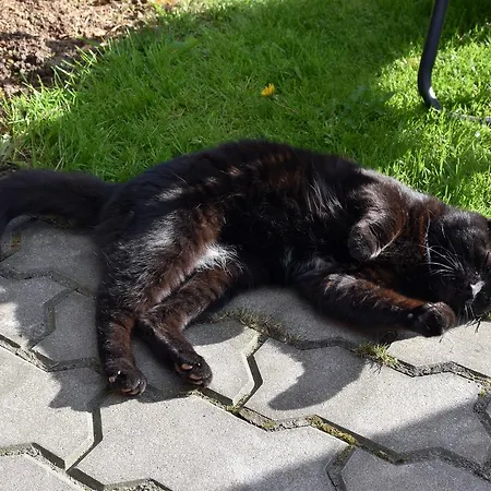 Cozy John's House Homestay szállás